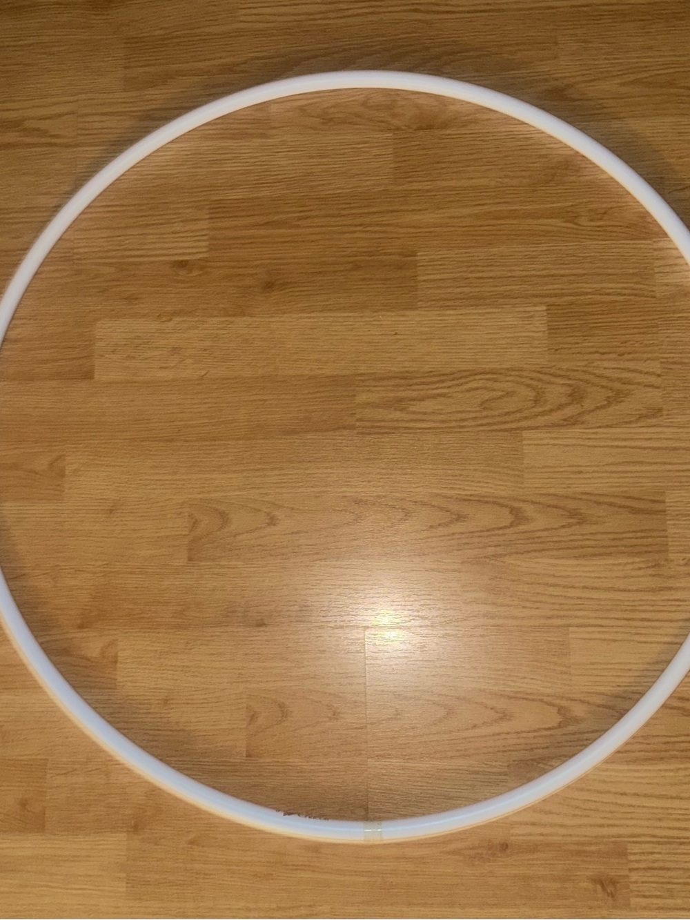 RG Chacott Hoop 75cm